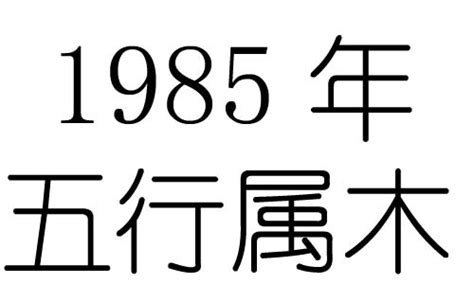 1985年五行